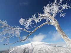 -哈尔滨热雪奇迹