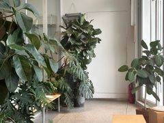 -DEEP COFFEE(瑞光烘焙工厂店)