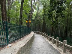 -灵岩山风景区