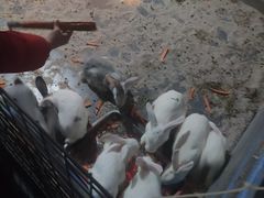 -常州海昌海洋探索馆