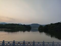 -佛手湖郊野公园