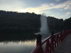 -丹樱生态园