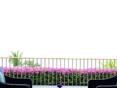 -日落吧·海景咖啡厅·餐酒吧·鸡尾酒·下午茶·乐队表演·浪漫夕阳·三亚文华东方酒店