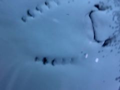 -大连圣亚海洋世界
