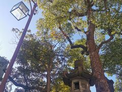 -难波八坂神社