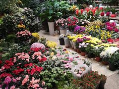 -双季花艺园艺市场(浦东店)