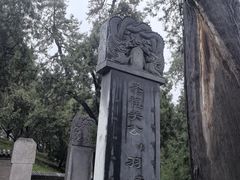 -关林