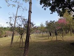 -聚龙山公园
