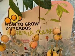 -Mr.Fruits水果先生(英蓝金融中心店)