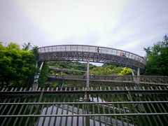 -福道