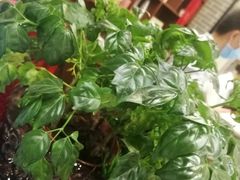 -丰圆轩粤式茶楼 . 点心粤菜(夏茅店)