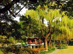 申粤轩-申粤轩酒楼·三十年粤菜经典(丁香花园店)