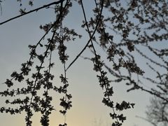 -团结湖公园