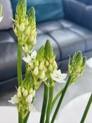 -谦和国际皮肤管理