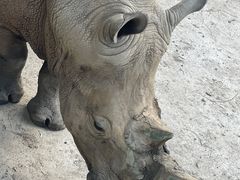 -哈尔滨北方森林动物园