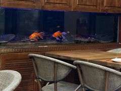 -Golden Lily河内巴黎法越料理餐厅(建国西路店)