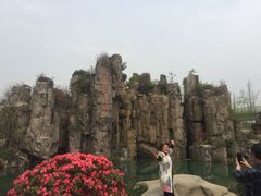 -秀丽东方