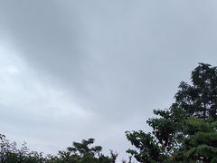 -海源公园