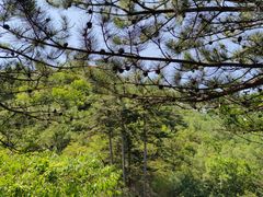 -玉渡山自然风景区