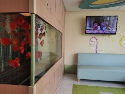 -杭州贝瑞斯美华妇儿医院·早孕·产检·儿科