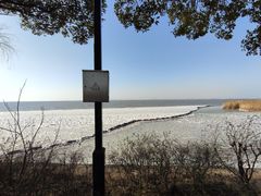 -苏州太湖国家湿地公园