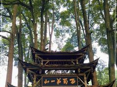 -青城山
