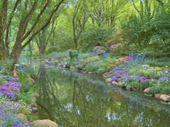 -上海共青森林公园