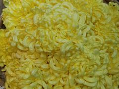 -红日饭店(裕隆三路店)