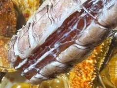 -东海章鱼馆(恒瑞街店)