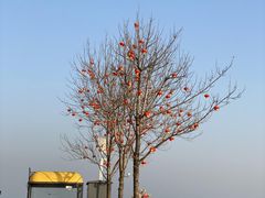 -巧克力渔家.小船海鲜家常菜(万平口店)