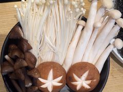 -顺德公广东猪肚鸡·煲仔饭(白石洲店)