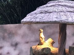 -宁波野生动物园