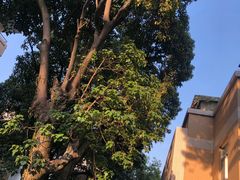 -福建师范大学(仓山校区)