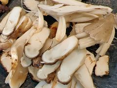 -蘑统田下·野生菌火锅