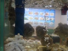 -富临港·蒸汽海鲜·手抓海鲜·炒菜(栈桥店)