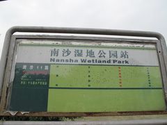 -大湾区中央湿地公园