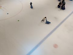-TheRink大零溜冰场(IFS国金中心店)