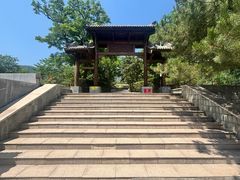 -阳台山自然风景区