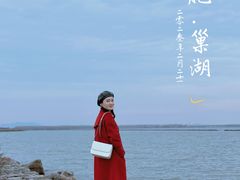 -合肥滨湖国家森林公园