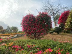 -东莞植物园