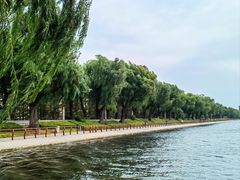 -长春市南湖公园