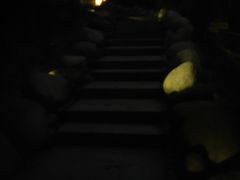 -三江森林温泉度假区