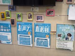 -谐和益家动物医院·免疫绝育·血液透析·宠保定点医院(高新伊藤分院)