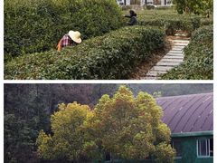 -黄陂区野村谷景区