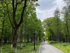 -西溪国家湿地公园