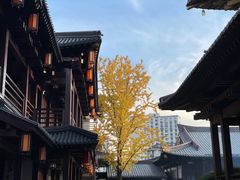 -香积寺