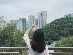 -鲤鱼塘农家山庄