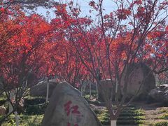 -广州市帽峰山景区