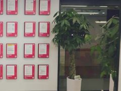 -新东方斯芬克艺术留学作品集培训(郑州校区)