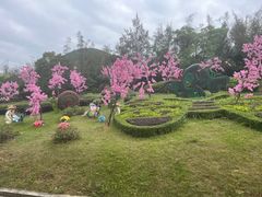 -东部华侨城